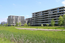 belle-terre