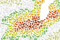 PL biodiversité