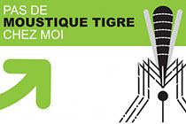 Moustique tigre